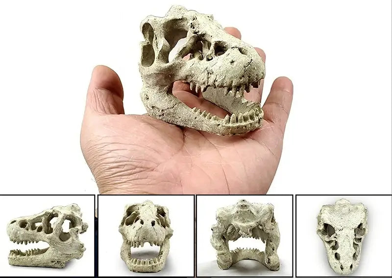 Dino Digger. Treasure Bucket. (large)