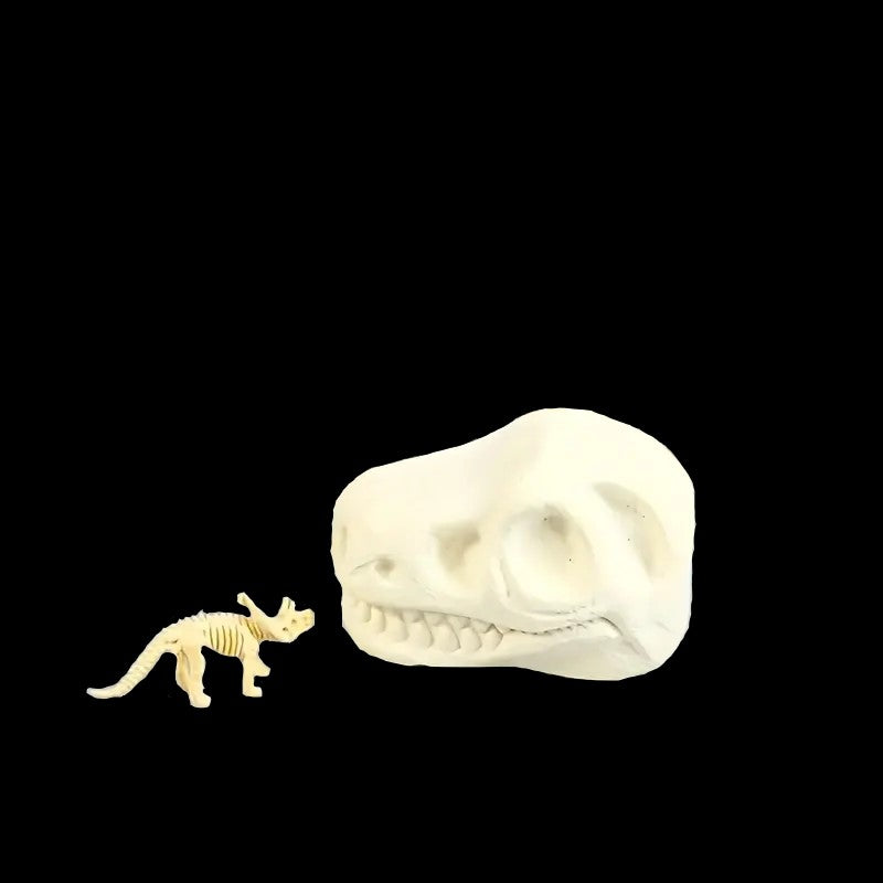 Dino Digger. Treasure Bucket. (large)