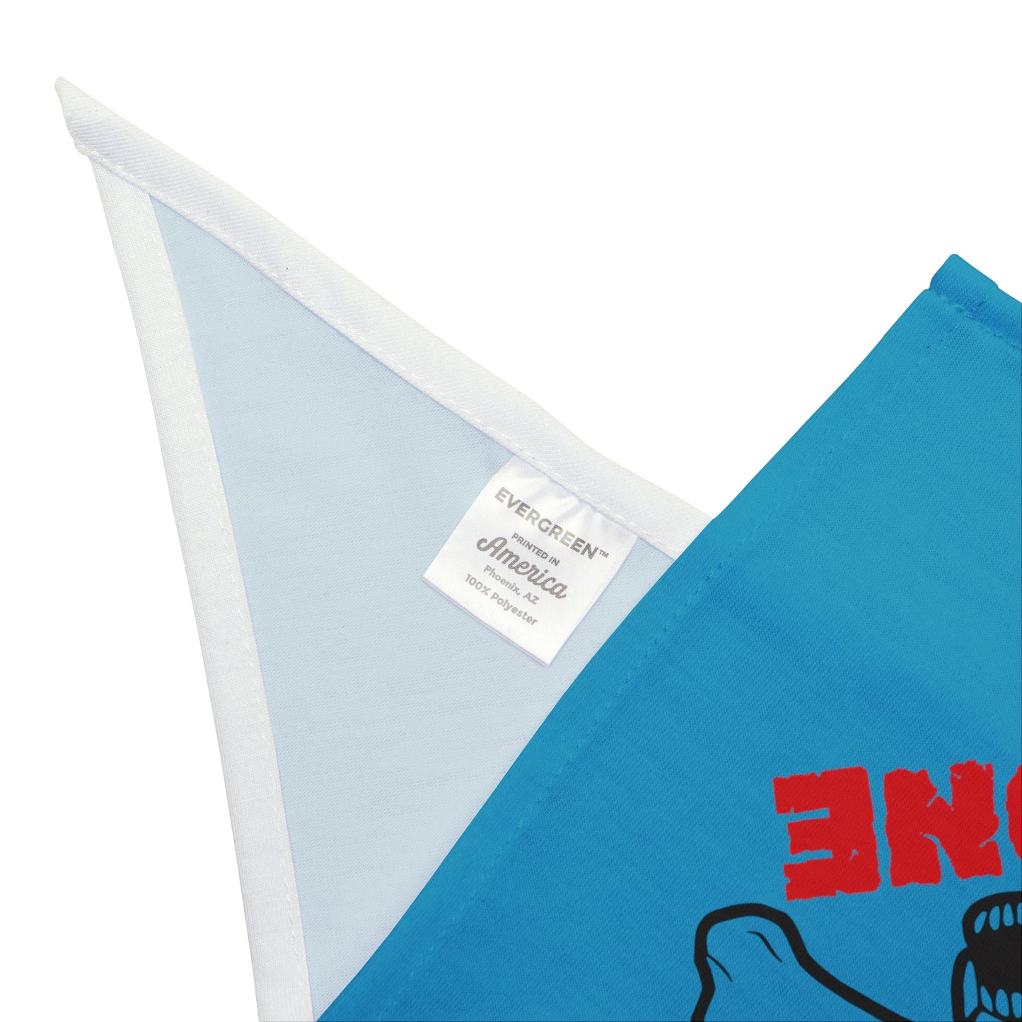 Bad to the Bone. Pet Bandana