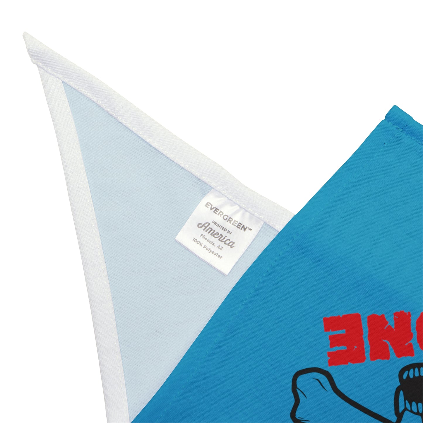 Bad to the Bone. Pet Bandana