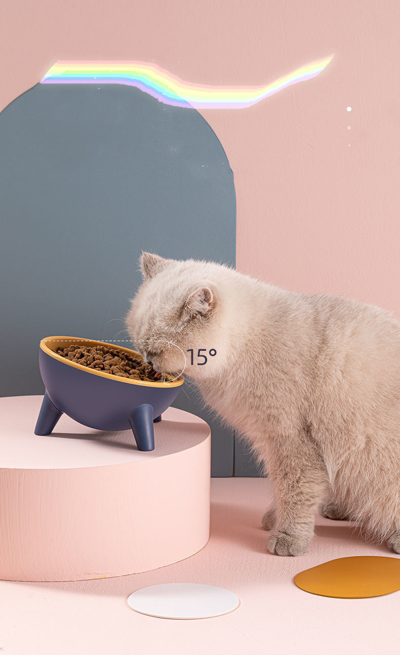 Cat Stand Feeding Bowls