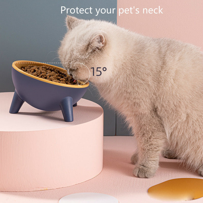 Cat Stand Feeding Bowls