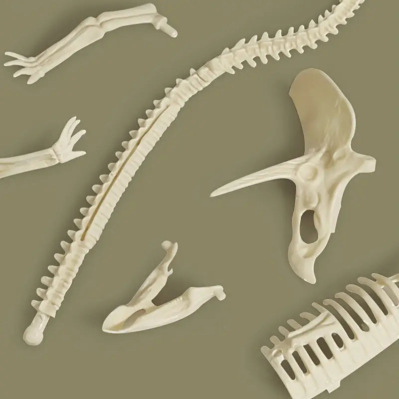 Dino Digger. Treasure Bucket. (large)