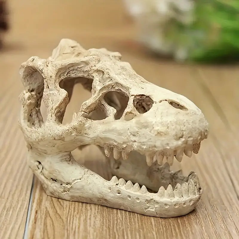 Dinosaur Skull.