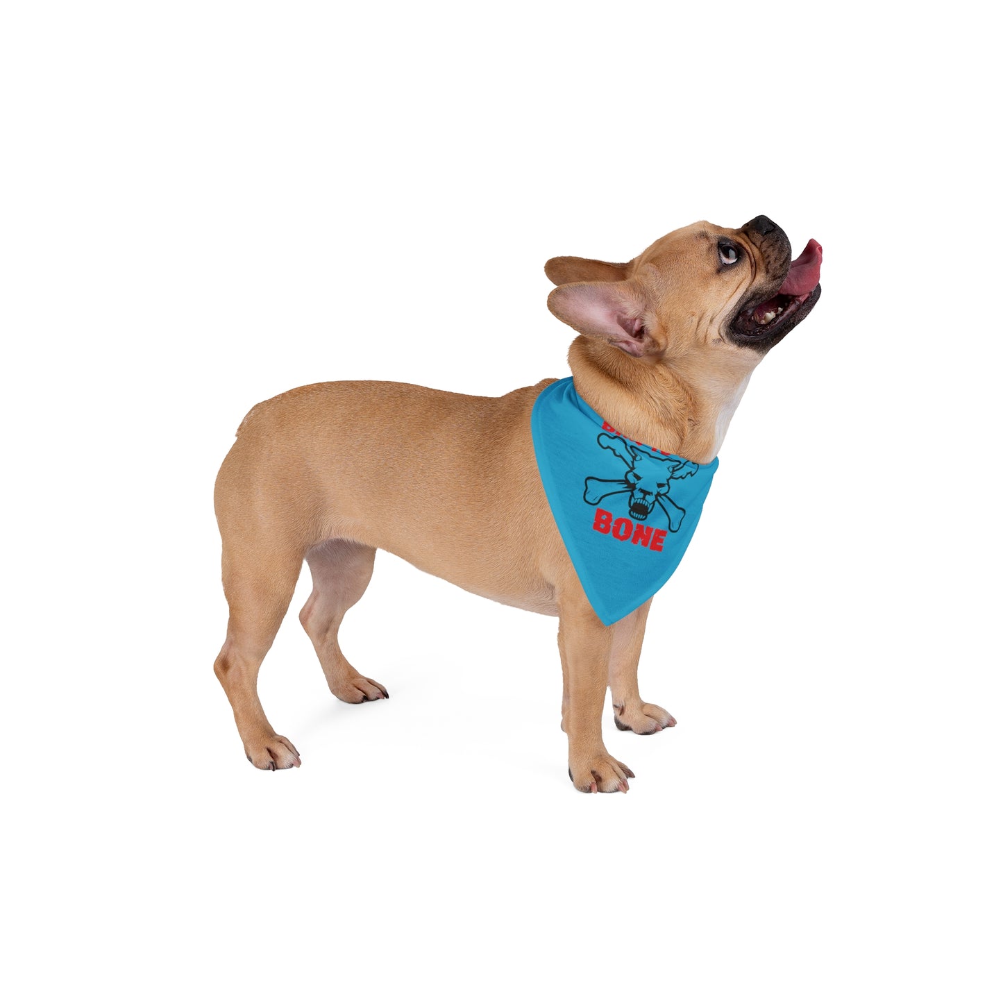 Bad to the Bone. Pet Bandana