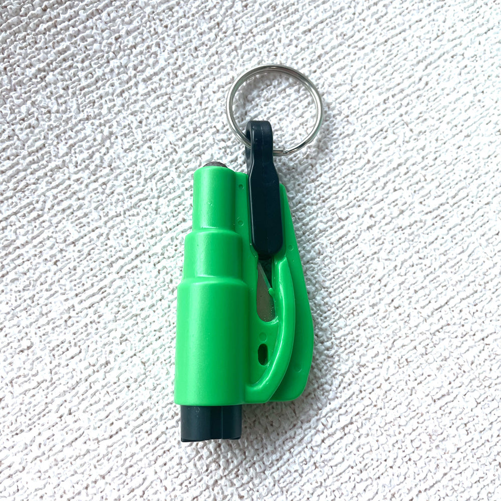 Green Snake Keychain Suit