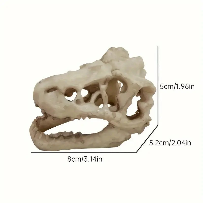 Dinosaur Skull.