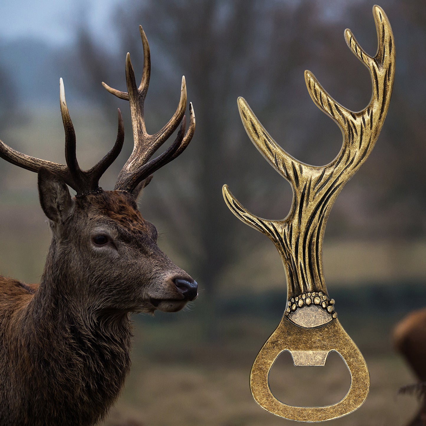 Deer Antler Bottle Opener