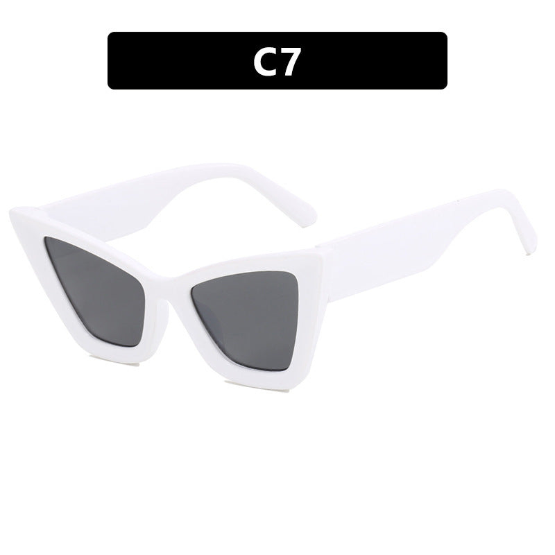 Large Frame Cat Eye Sunglasses
