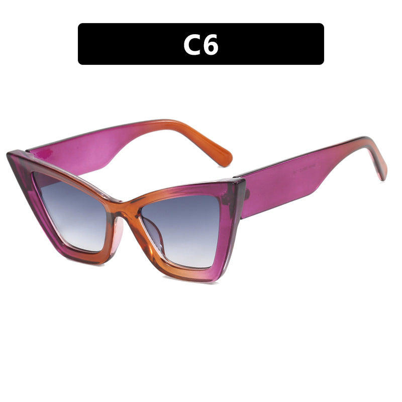 Large Frame Cat Eye Sunglasses