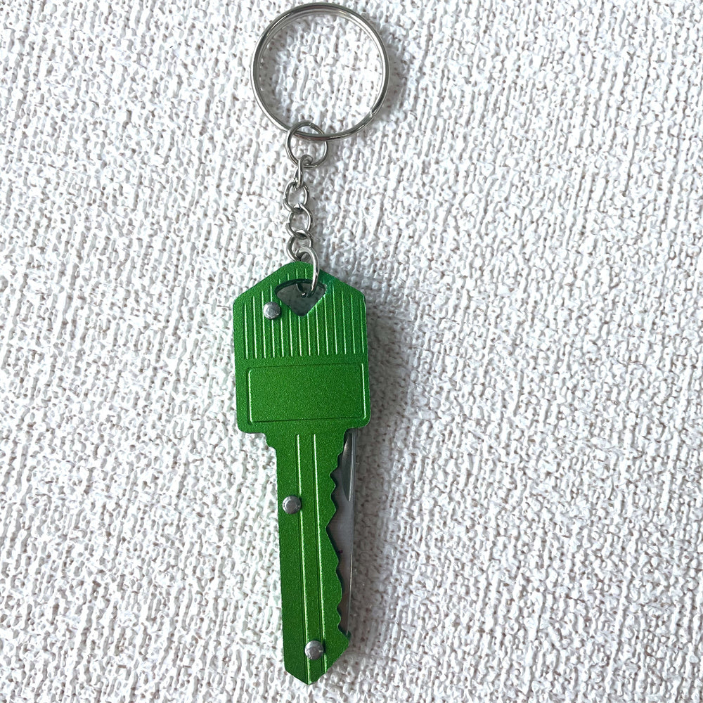 Green Snake Keychain Suit