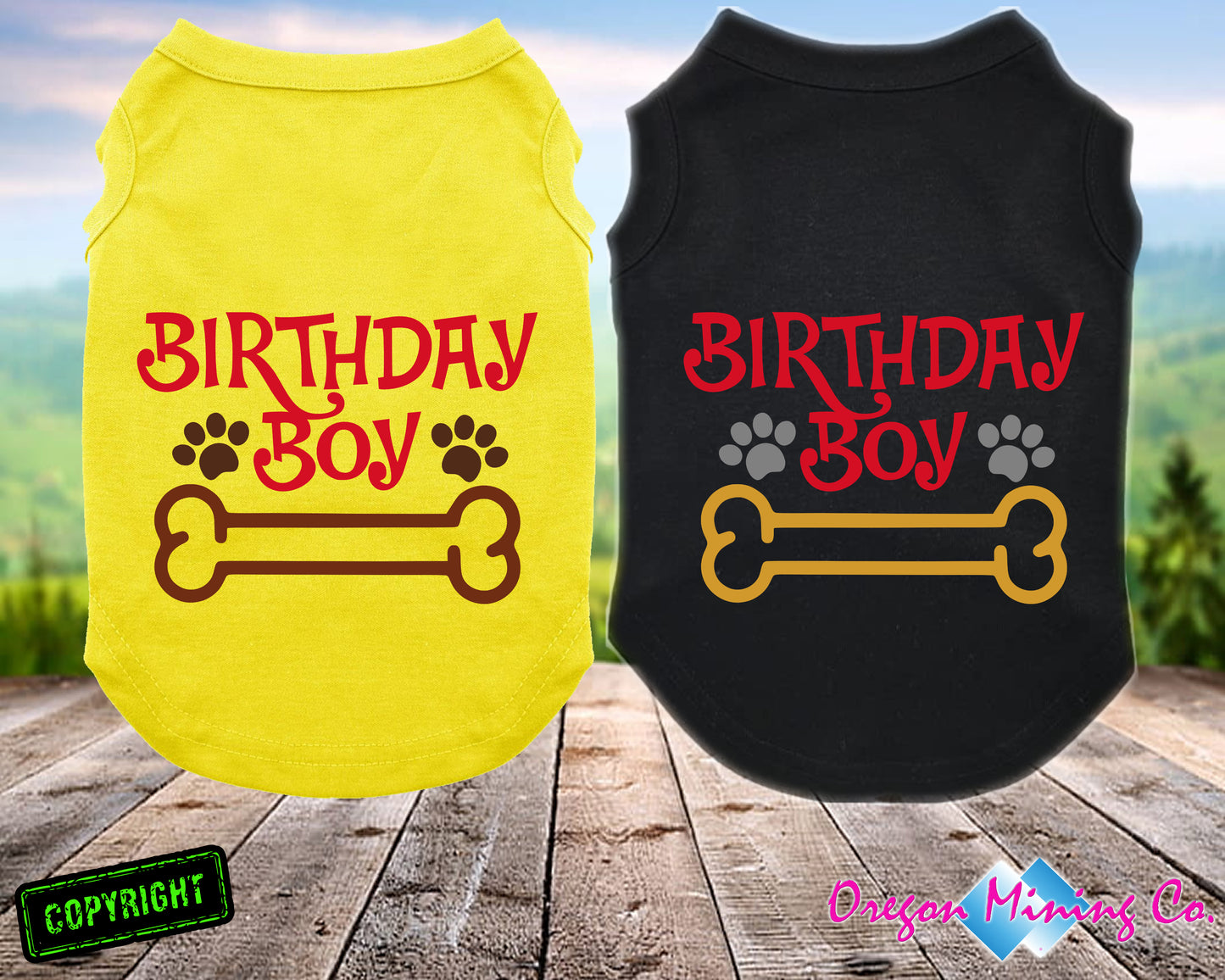 Birthday Boy. SVG Digital Cut or Print files.