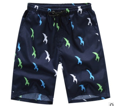 Quick Dry Beach Shorts
