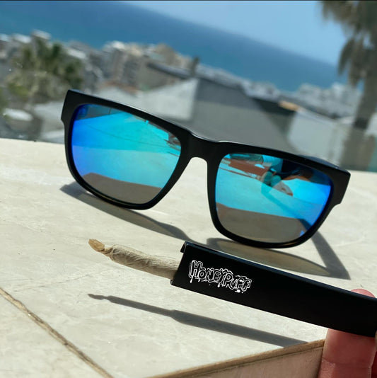 Stash Storage Sunglasses