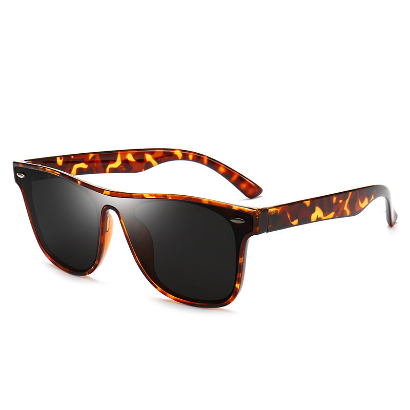 Mountaineering Sunglasses