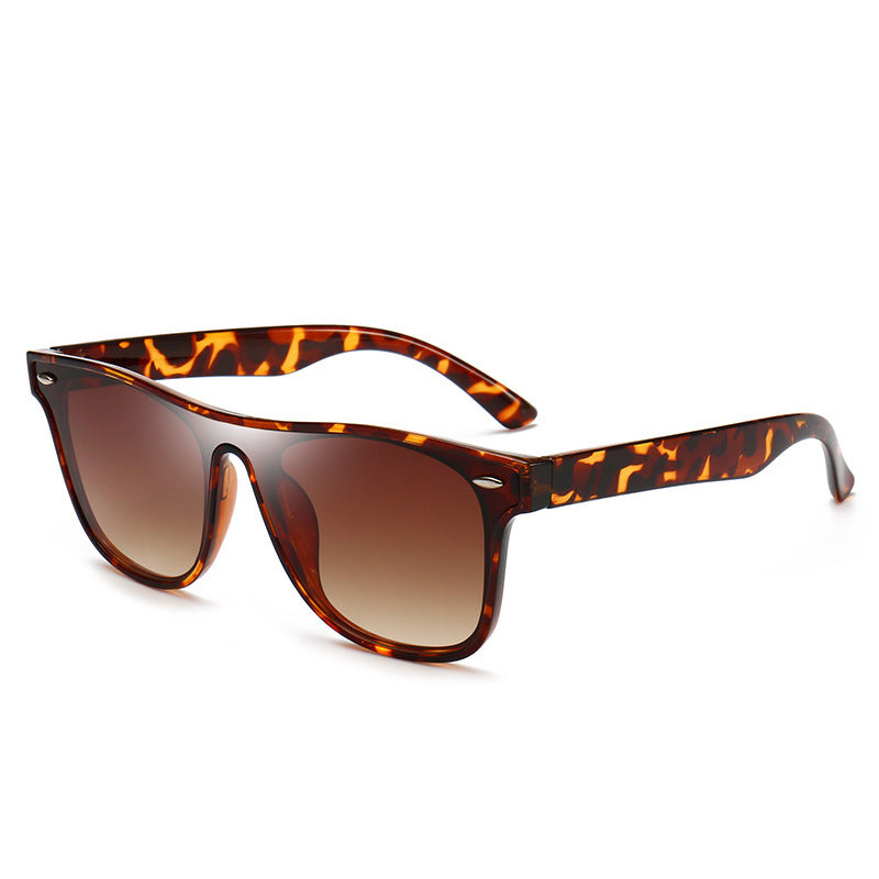 Mountaineering Sunglasses