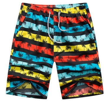 Quick Dry Beach Shorts