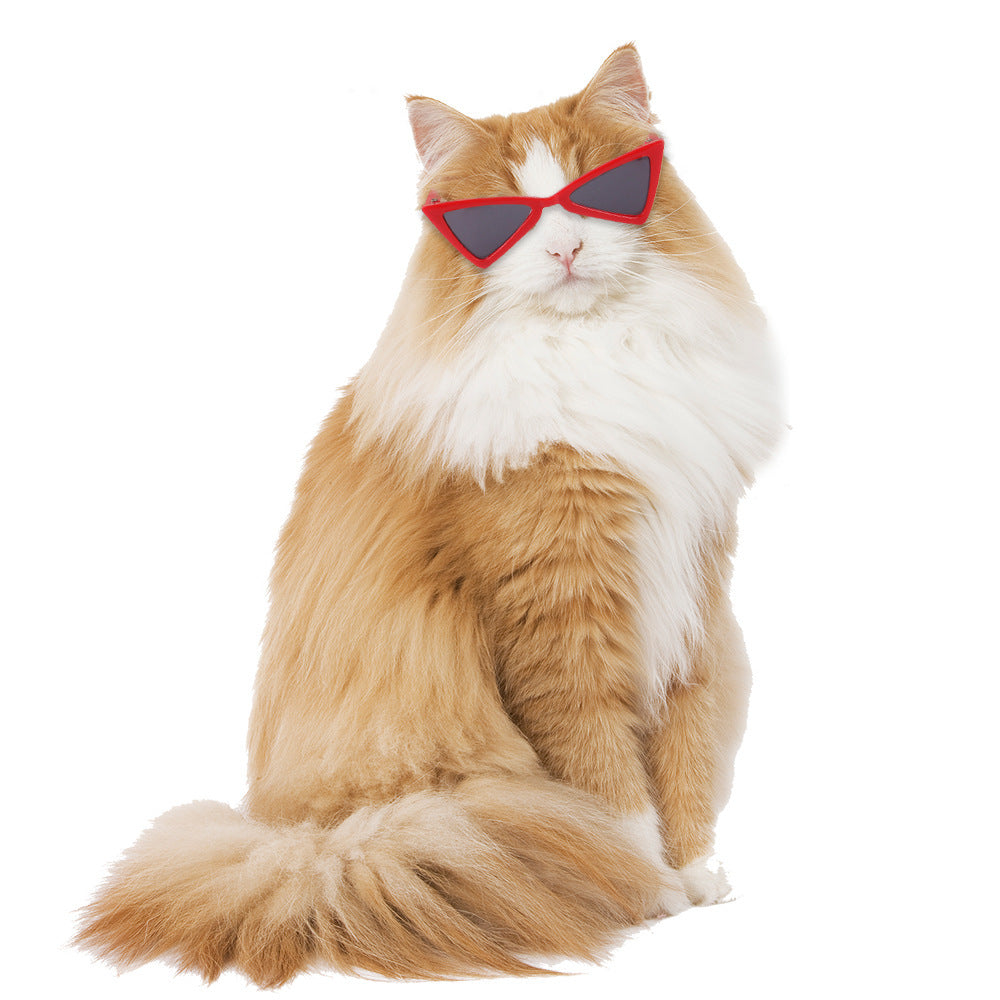 Color Glasses Accessories for Cats