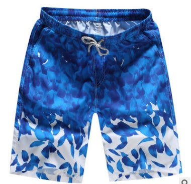 Quick Dry Beach Shorts