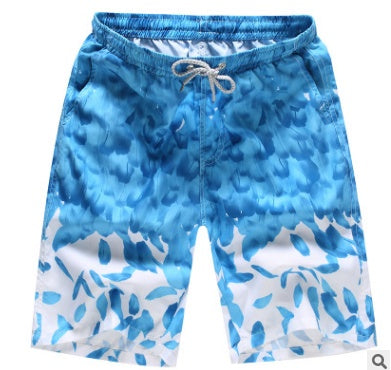 Quick Dry Beach Shorts