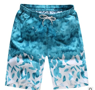 Quick Dry Beach Shorts