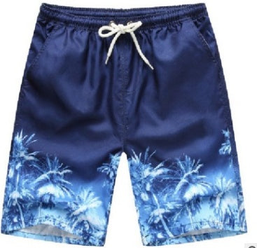 Quick Dry Beach Shorts