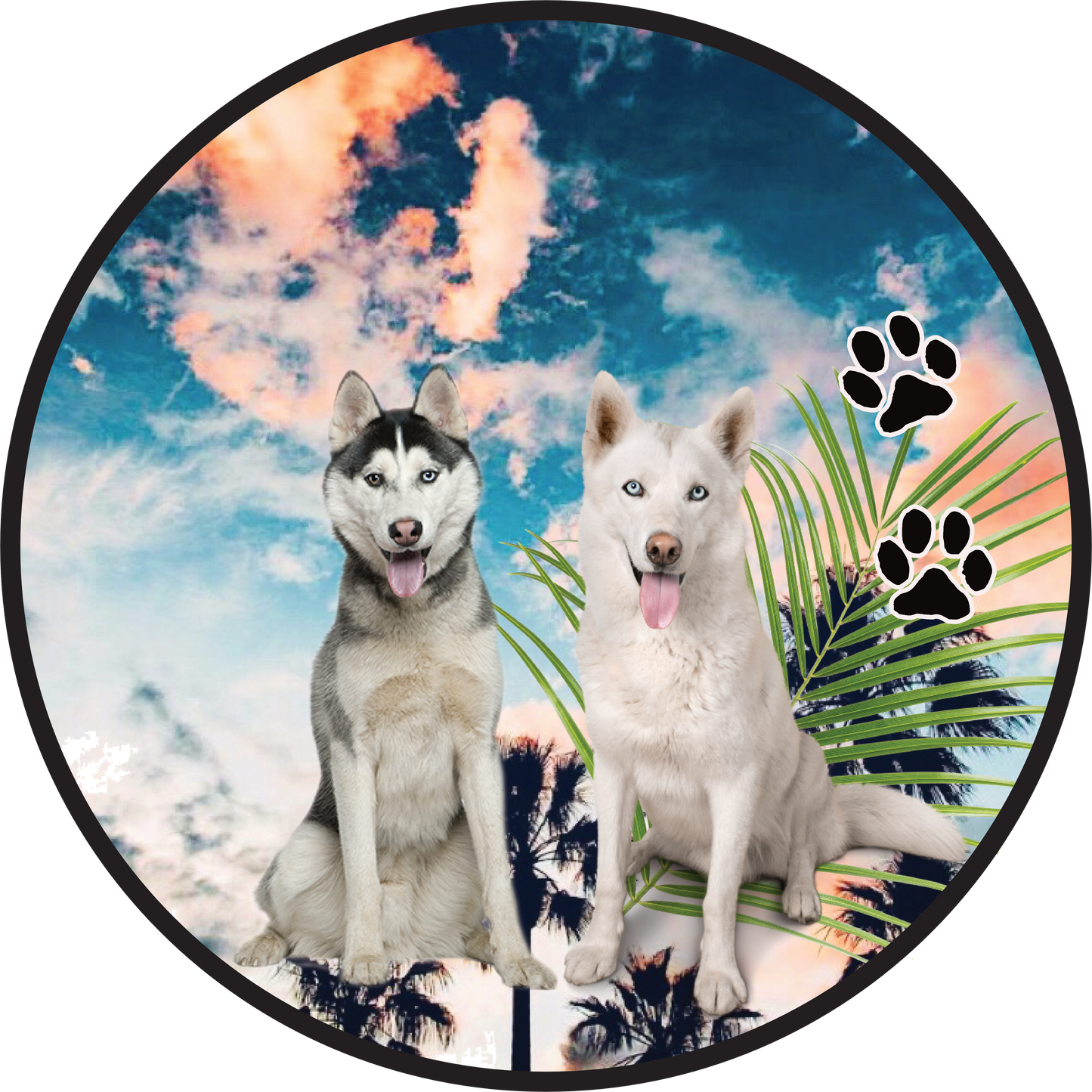 Rad Dogz ....Basic Donation....