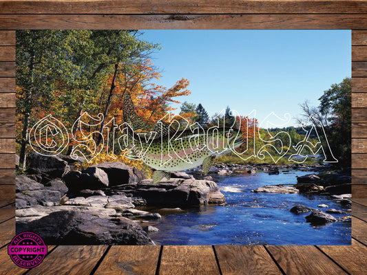 Rainbow Trout Tumbler Wrap. JPG Digital Print file. #189-0