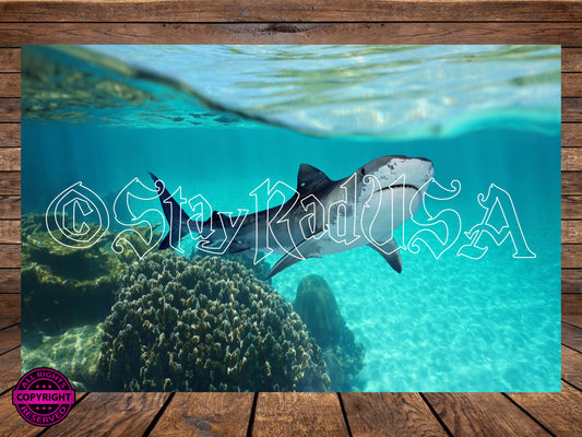 Tiger Shark Tumbler Wrap. PNG Digital Print file. #42-0