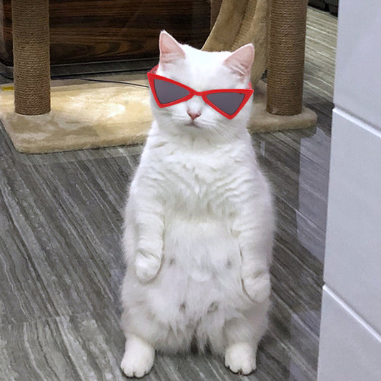 Color Glasses Accessories for Cats